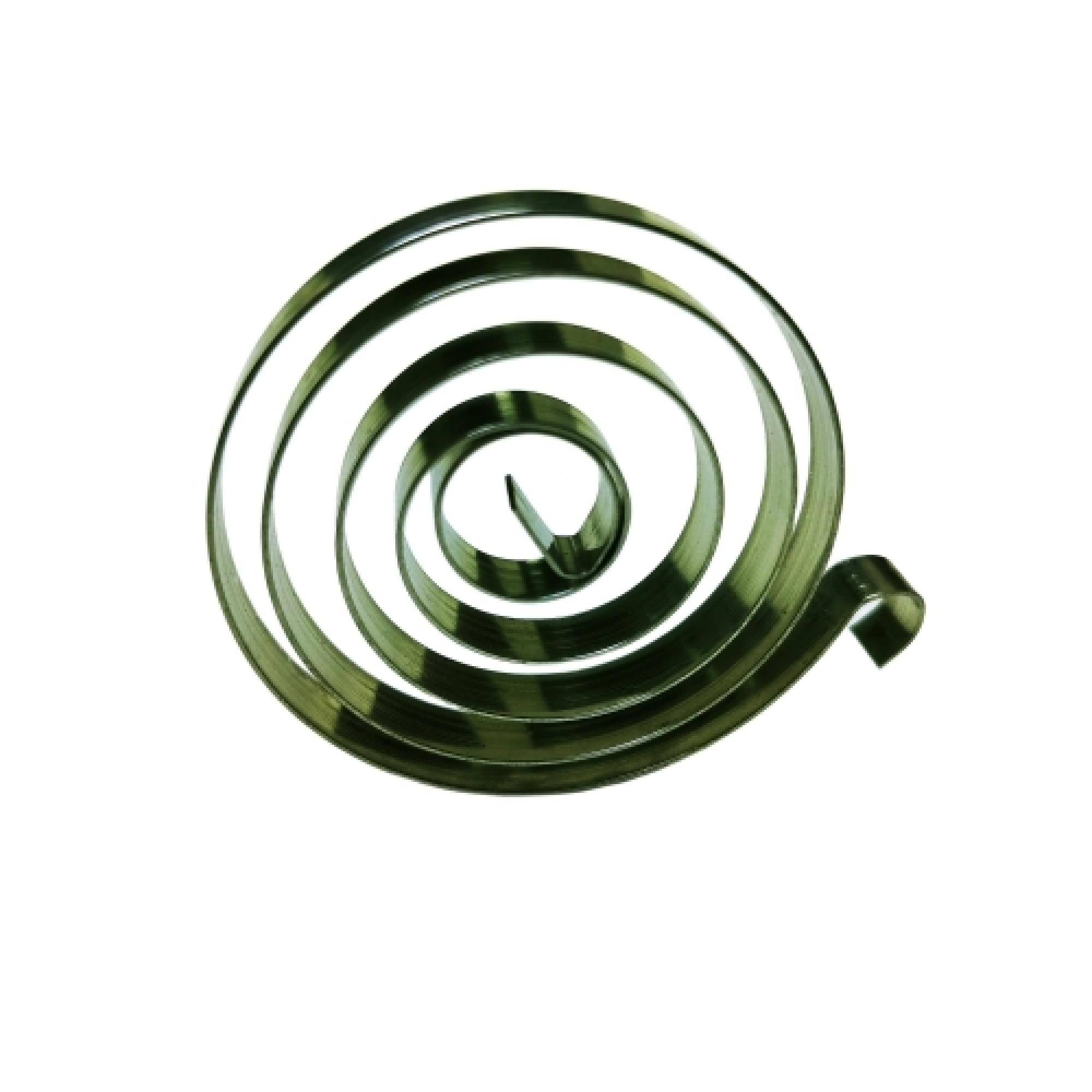 Stainless Steel Flat Coil Spiral Spring